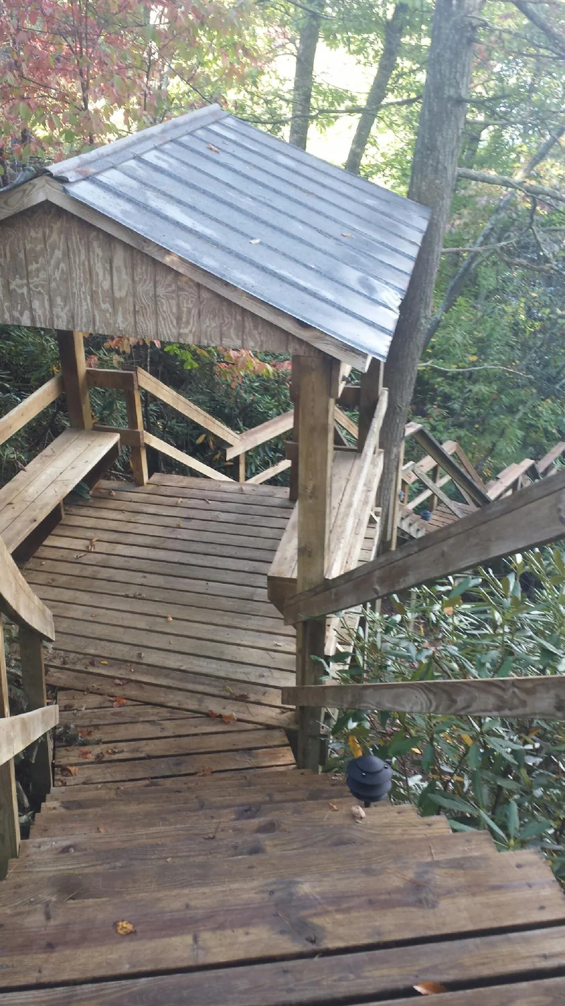 Metal roofed shelter over wooden steps on a wooded walkway — Skylight Repair & Installation work by our crew in Coppell
